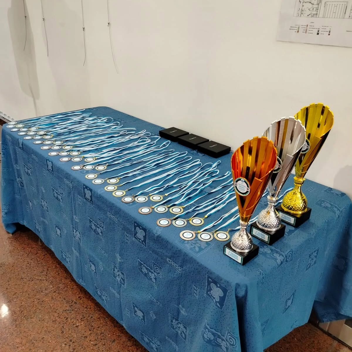 16° Trofeo Apnea Romagna e San Marino